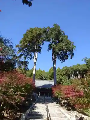 観音寺(滋賀県)