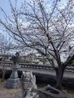菅原神社(奈良県)