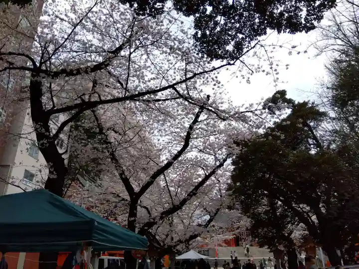 花園神社の自然