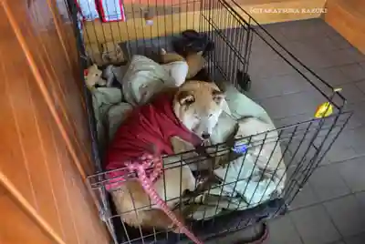 笠䅣稲荷神社(神奈川県)