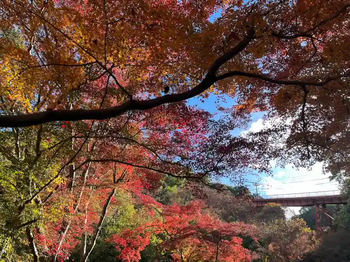 神應寺(京都府)