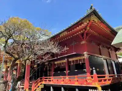根津神社の本殿・本堂