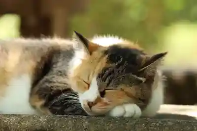 玉野御嶽神社(愛知県)