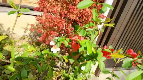 玉泉寺(神奈川県)