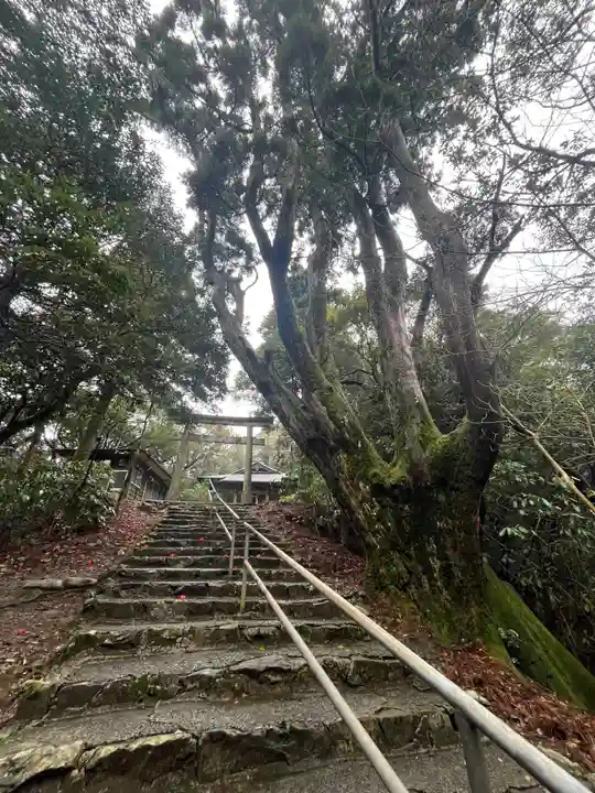 金峰神社(鹿児島県)