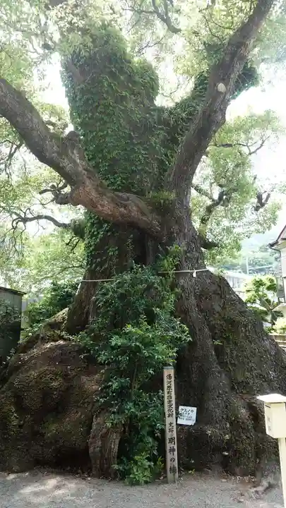 五所神社(神奈川県)