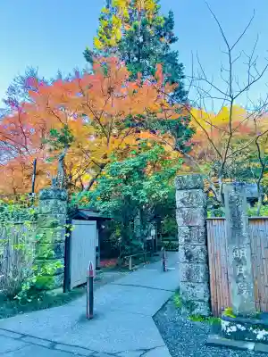 明月院(神奈川県)