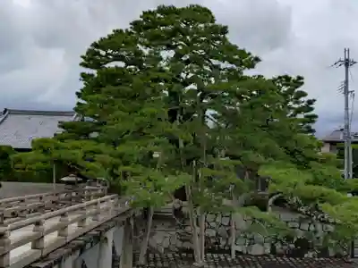満月寺(浮御堂)の庭園