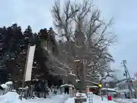 熊野大社(山形県)