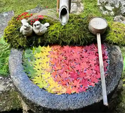 柳谷観音　楊谷寺(京都府)