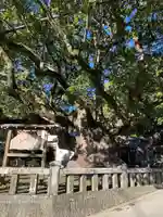 土肥神社(静岡県)