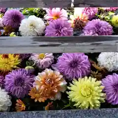 豊景神社の手水