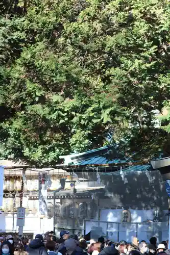 調神社(埼玉県)