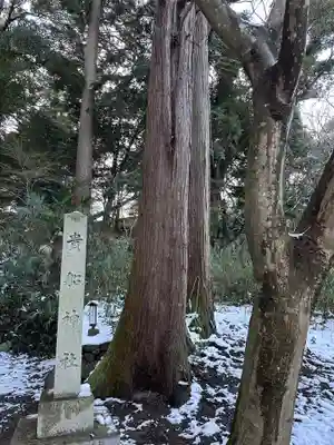 大神神社(岐阜県)