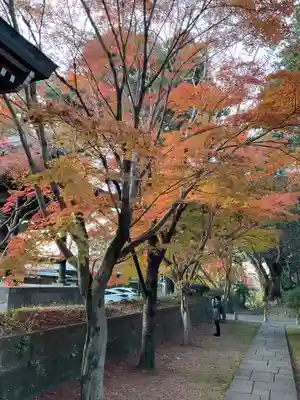 東漸寺(千葉県)