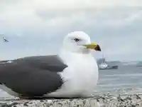 蕪嶋神社(青森県)