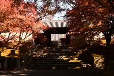 曼殊院門跡(京都府)
