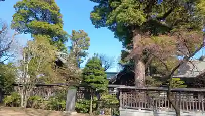 所澤神明社(埼玉県)