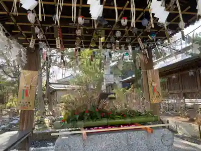 白山神社(新潟県)