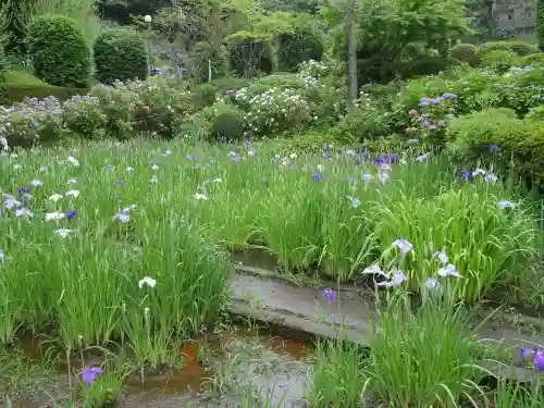 天台宗　長窪山　正覚寺の庭園