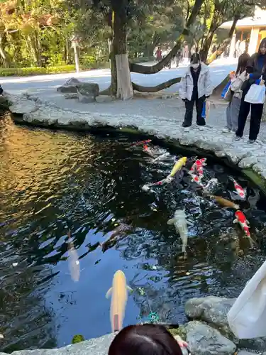 伊勢神宮内宮（皇大神宮）(三重県)