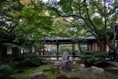 建仁寺（建仁禅寺）(京都府)