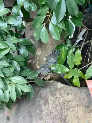 元祇園梛神社・隼神社(京都府)