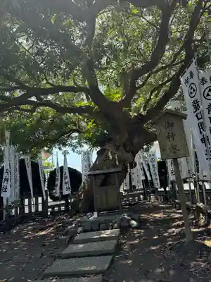 龍口明神社(神奈川県)