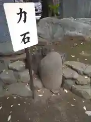 鳩ヶ谷氷川神社の建物その他