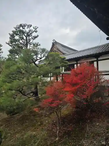 東福禅寺（東福寺）(京都府)