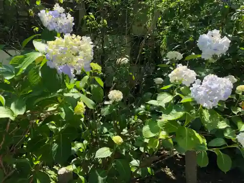 資福寺(宮城県)