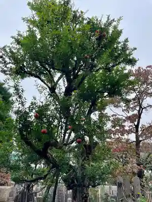 長安寺(東京都)