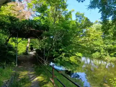 龍神神社の{uncategorized: "未分類", other: "その他", undefined: "問題あり", building: "その他建物", grave: "お墓", sacred_gate: "鳥居", guardian: "狛犬", statue: "像", buddha: "仏像", history: "歴史", nature: "自然", garden: "庭園", animal: "動物", pagoda: "塔", temizu: "手水舎", mountain_gate: "山門・神門", sanctuary: "本殿・本堂", subordinate: "末社・摂社", art: "芸術", scenery: "景色", jizo: "地蔵", ema: "絵馬", goshuin: "御朱印", omikuji: "おみくじ", items: "授与品その他", amulet: "お守り", goshuincho: "御朱印帳", eats: "食事", festival: "お祭り", votive_dance: "神楽", shichigosan: "七五三参", wedding: "結婚式", experience: "体験その他", initially: "初詣", around: "周辺", anti_infection: "感染症対策"}