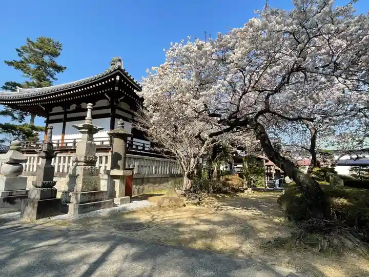 善通寺(香川県)