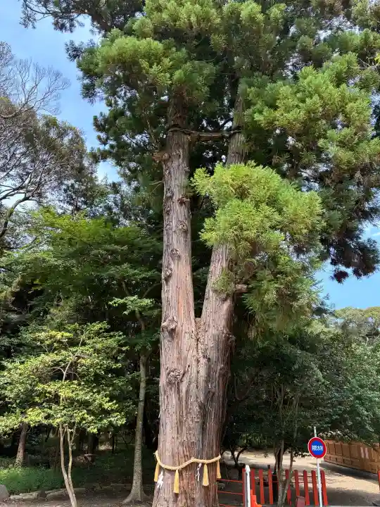 息栖神社(茨城県)