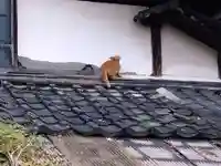 常昌寺(滋賀県)