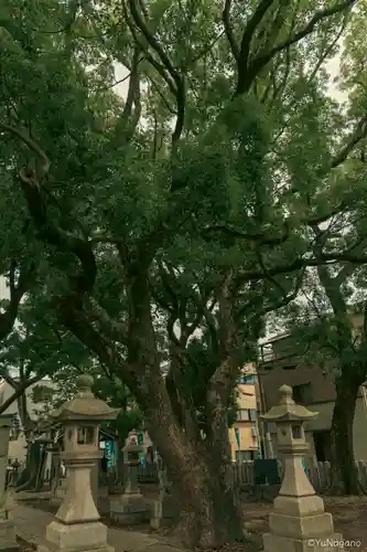 神須牟地神社の自然