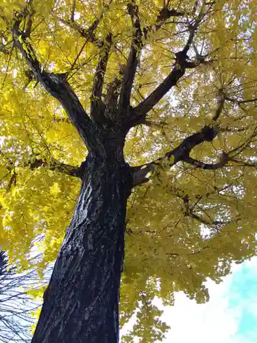 長慶寺(福井県)