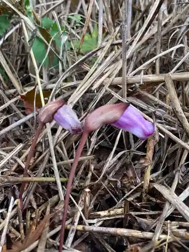 十二山神社(群馬県)