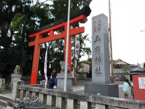 玉前神社の鳥居