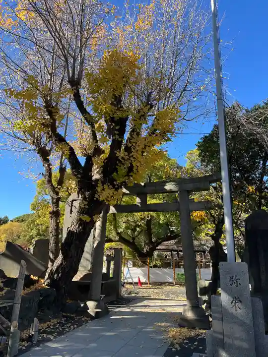 牛嶋神社の鳥居