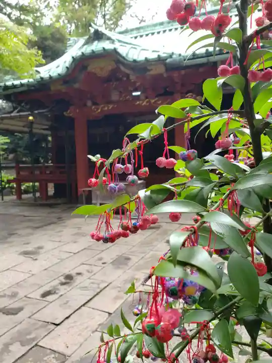 赤坂氷川神社(東京都)
