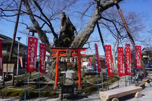 秩父今宮神社の自然