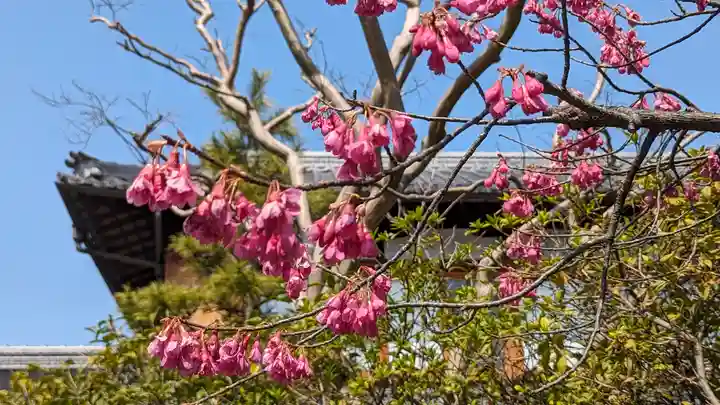 後白河院御聖蹟 法住寺(京都府)