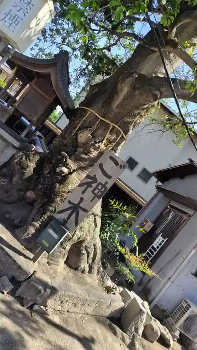 櫟谷七野神社(京都府)