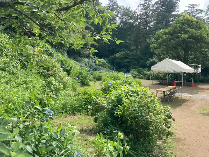 大宝八幡宮(茨城県)