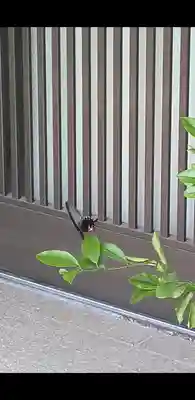 津嶋部神社(大阪府)