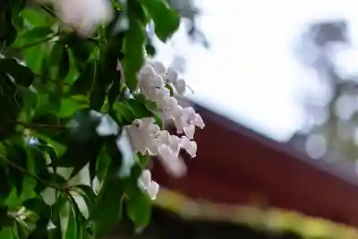 日吉大社(滋賀県)