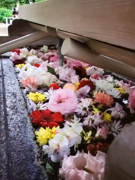 鳩森八幡神社の手水舎