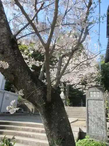 甘縄神明神社（甘縄神明宮）の景色